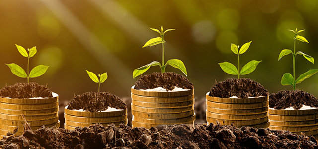 5 Steps to Grow Your New Catering Business